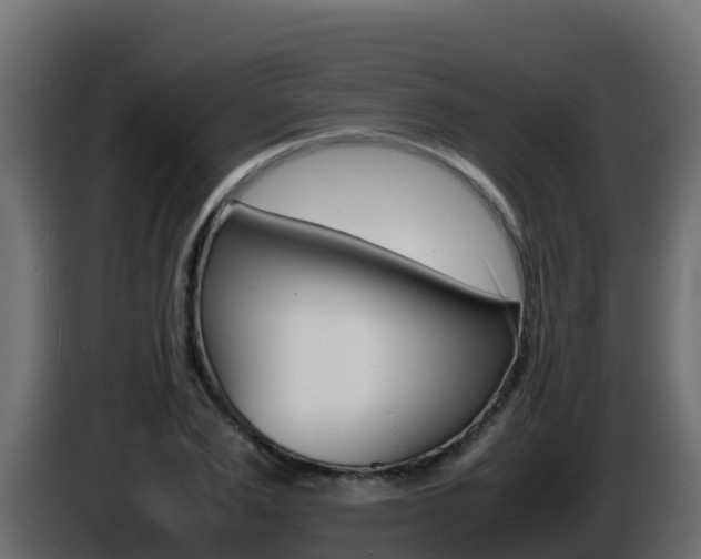 X0000086030983200703230951