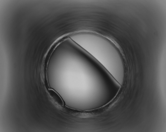 X0000086030984200703230951