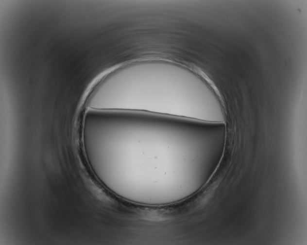 X0000086030987200703230950