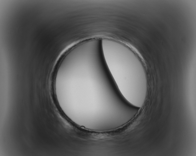 X0000086030991200703230950
