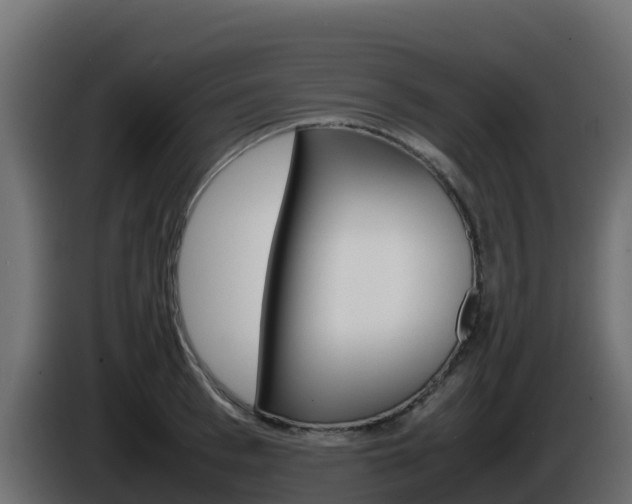 X0000086030993200703230950