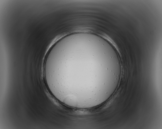 X0000086030994200703230950