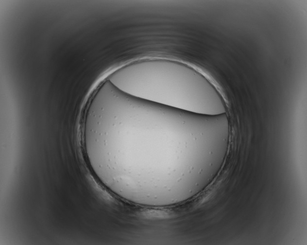 X0000086030998200703230950