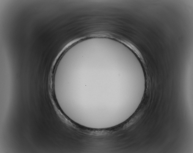 X0000086031000200703230950