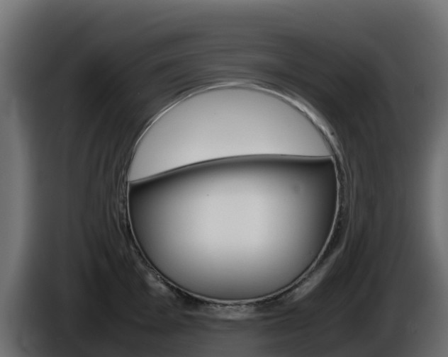 X0000086031001200703230950
