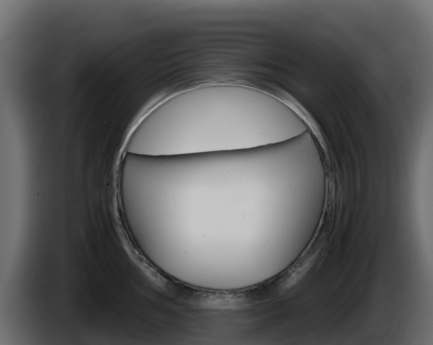 X0000086031002200703230950