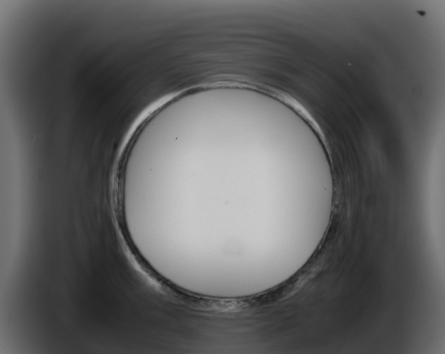 X0000086031003200703230950