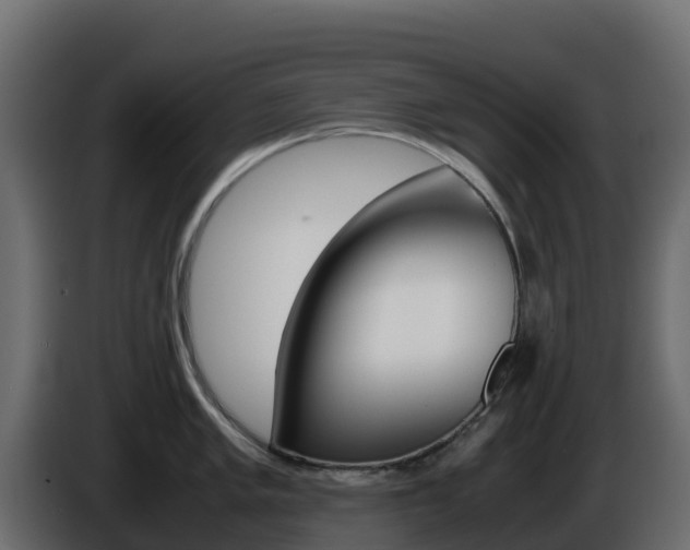 X0000086031005200703230950
