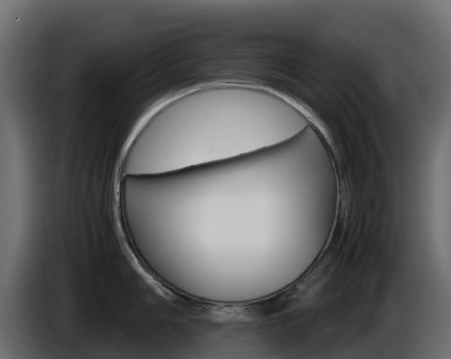 X0000086031006200703230950