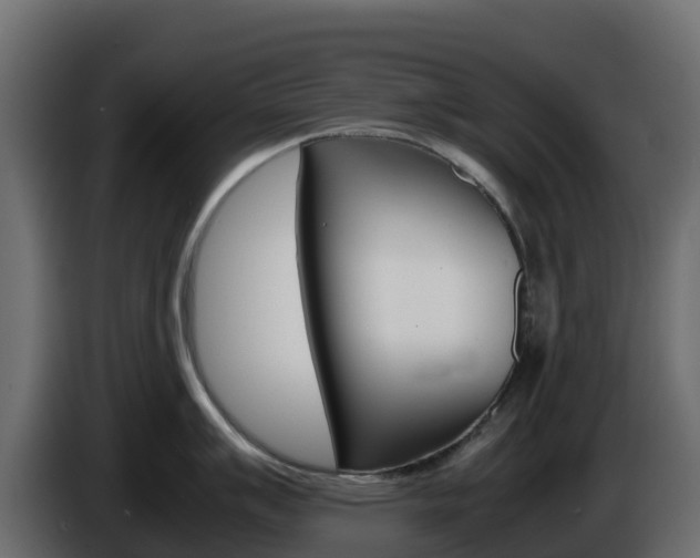 X0000086031007200703230950