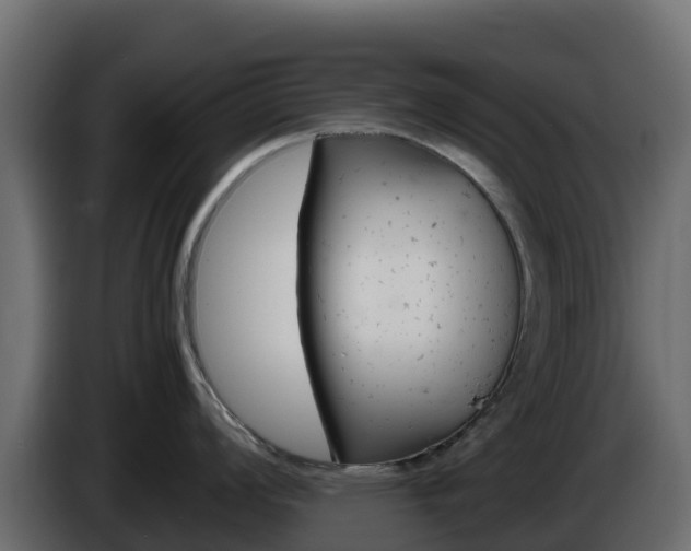 X0000086031008200703230950