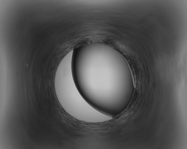 X0000086031010200703230950
