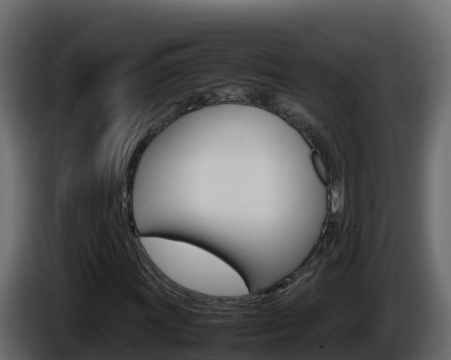 X0000086031011200703230950