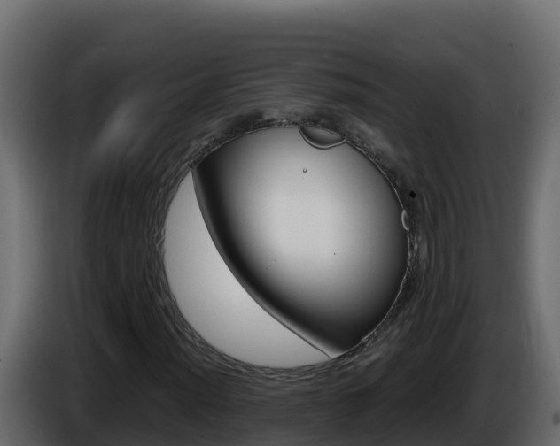 X0000086031012200703230950