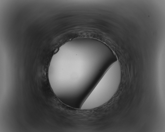 X0000086031013200703230950