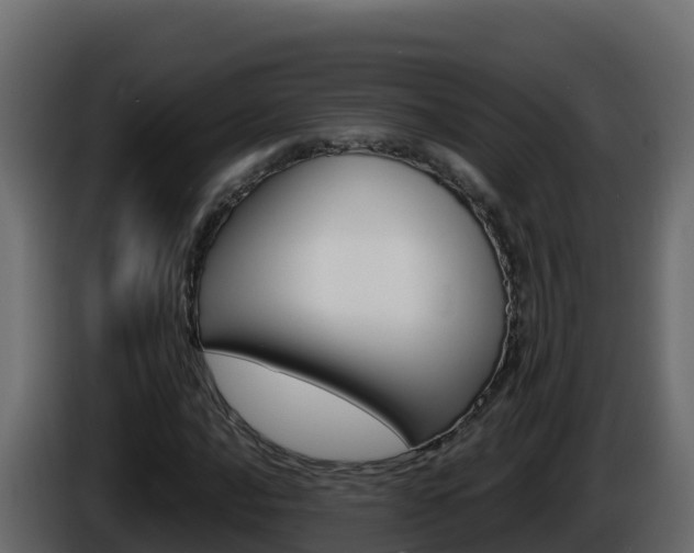 X0000086031016200703230950