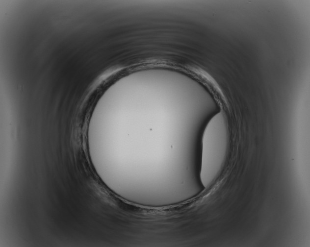 X0000086031019200703230950