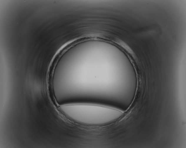 X0000086031020200703230950