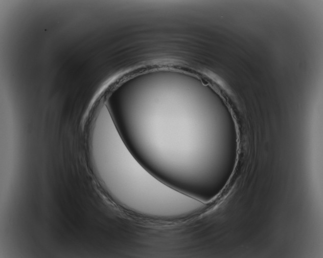 X0000086031022200703230950