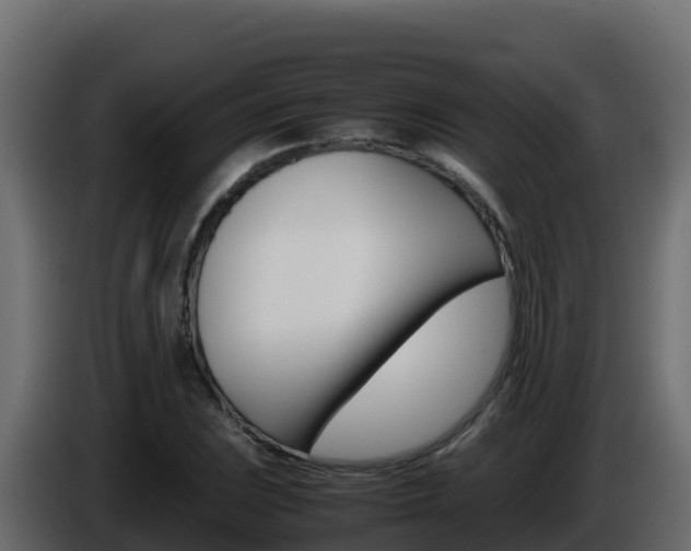 X0000086031023200703230950