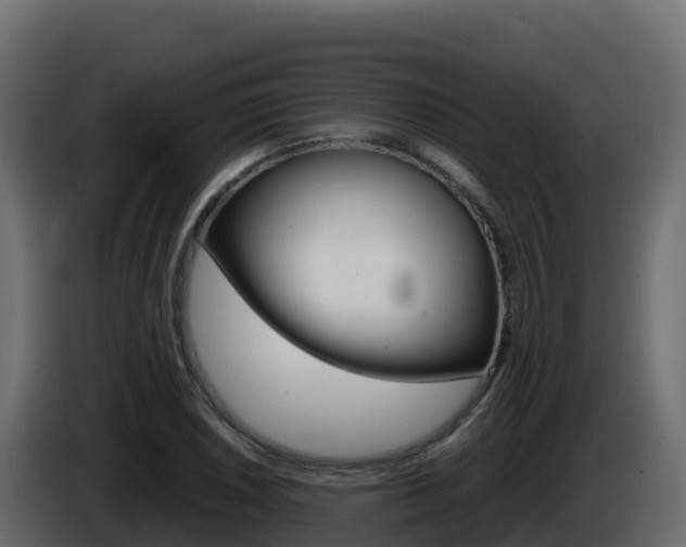 X0000086031026200703230950