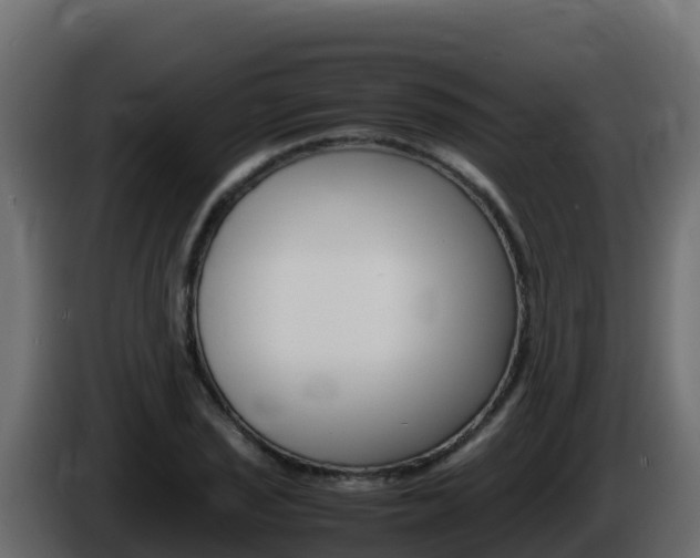 X0000086031029200703230950