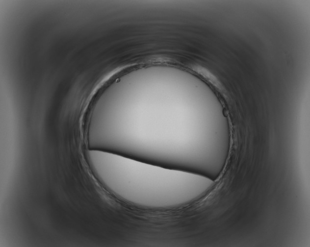 X0000086031031200703230950