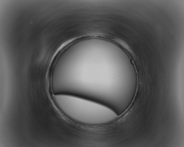 X0000086031032200703230950