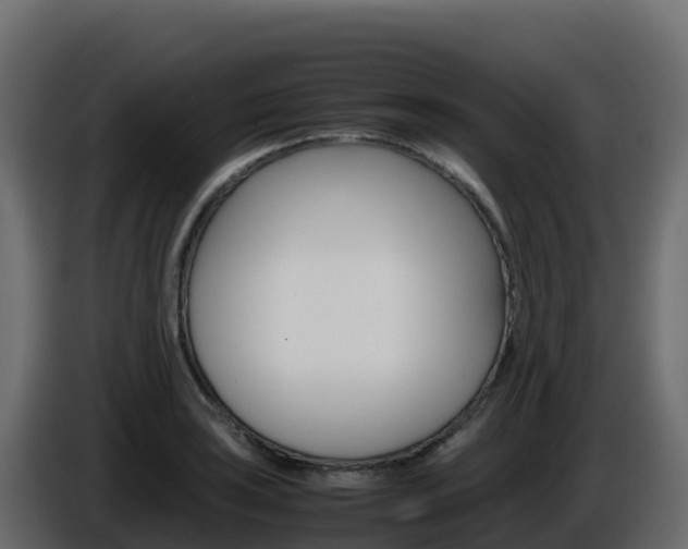 X0000086031035200703230950