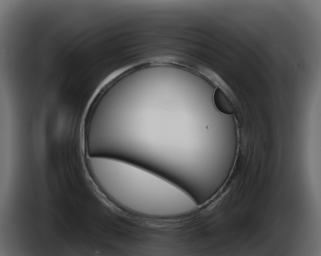 X0000086031036200703230950