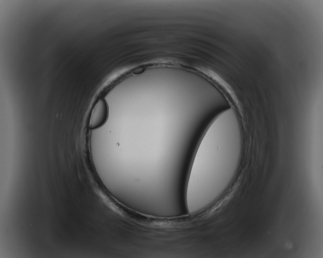 X0000086031037200703230950