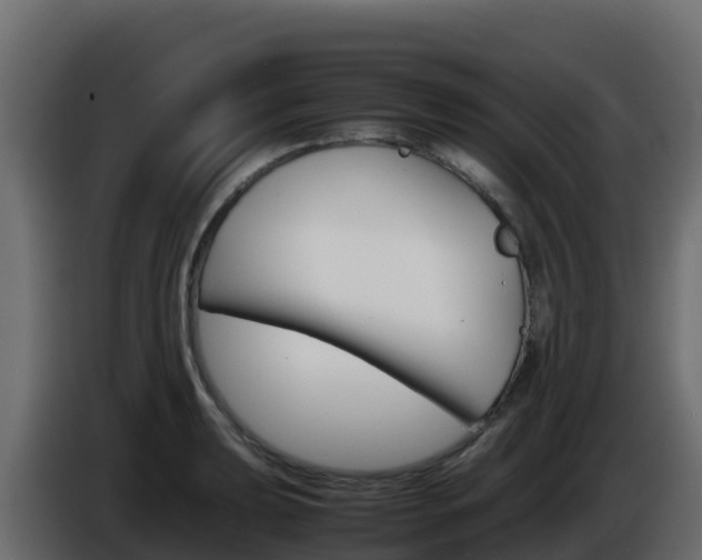 X0000086031039200703230950