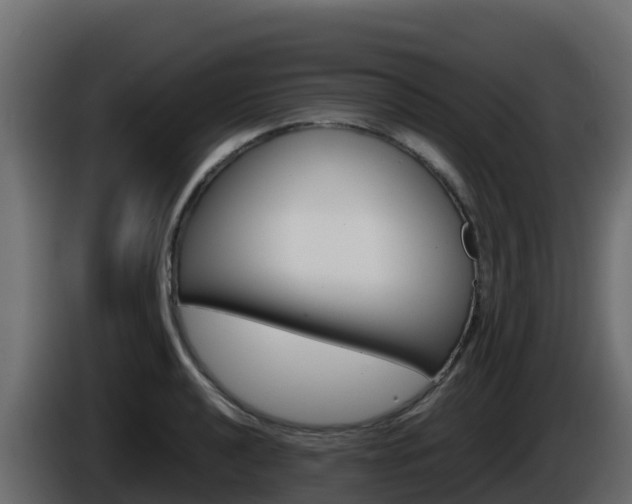 X0000086031040200703230950