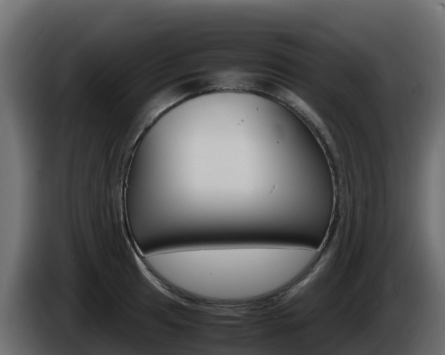 X0000086031041200703230950