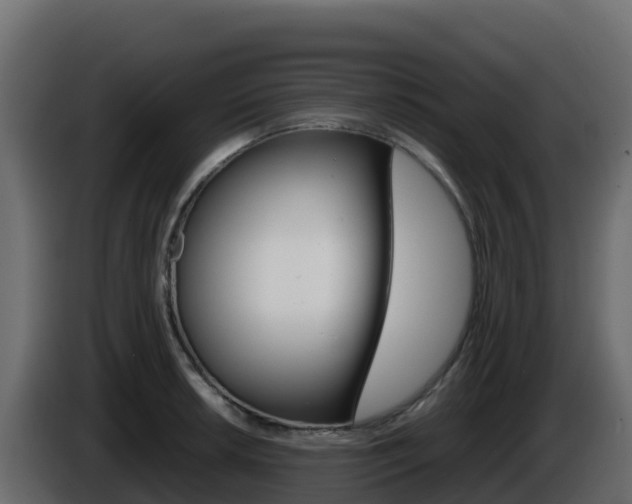 X0000086031042200703230950