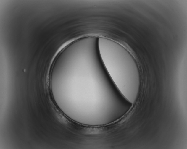 X0000086031044200703230950