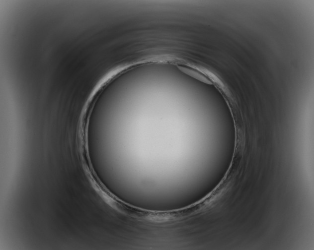 X0000086031046200703230950