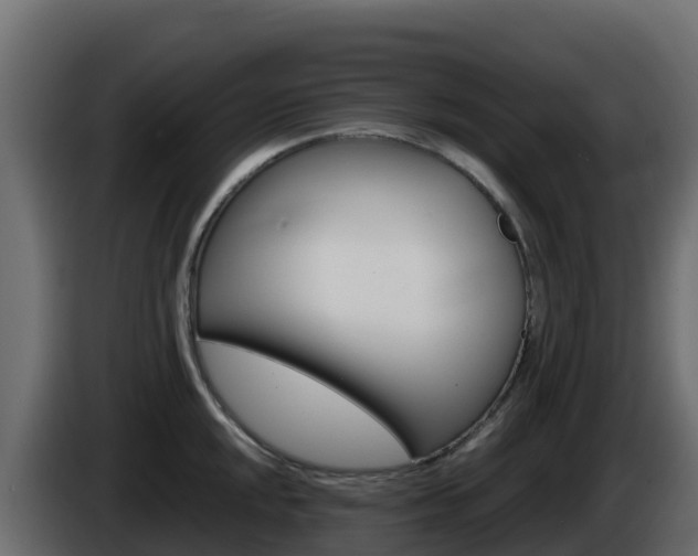 X0000086031048200703230950