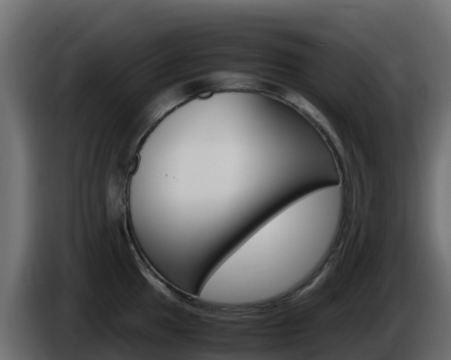 X0000086031049200703230950