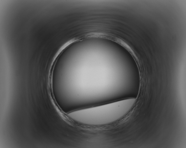 X0000086031050200703230950