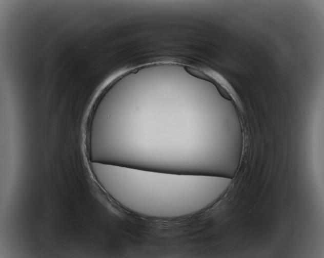 X0000086031051200703230950