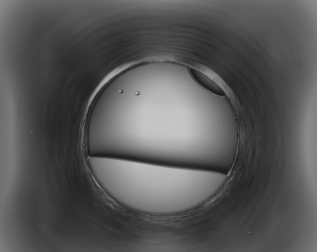 X0000086031052200703230950