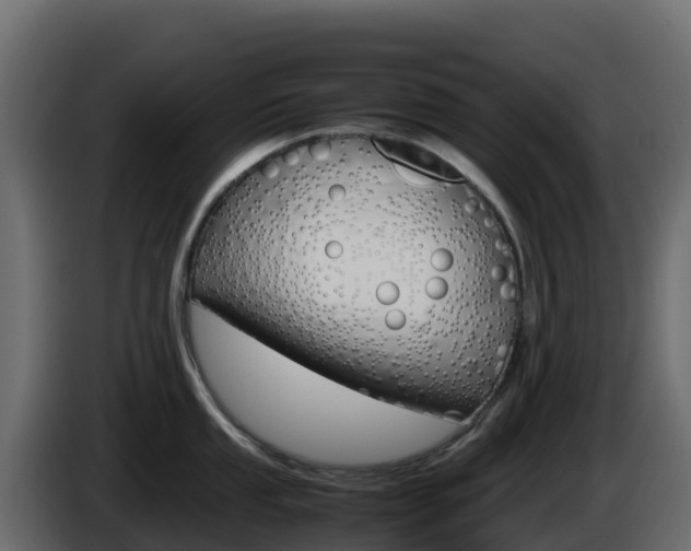 X0000086031053200703230950