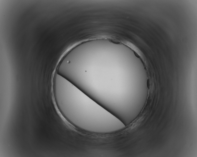 X0000086031055200703230950