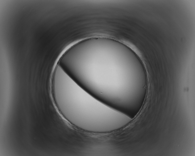 X0000086031056200703230950