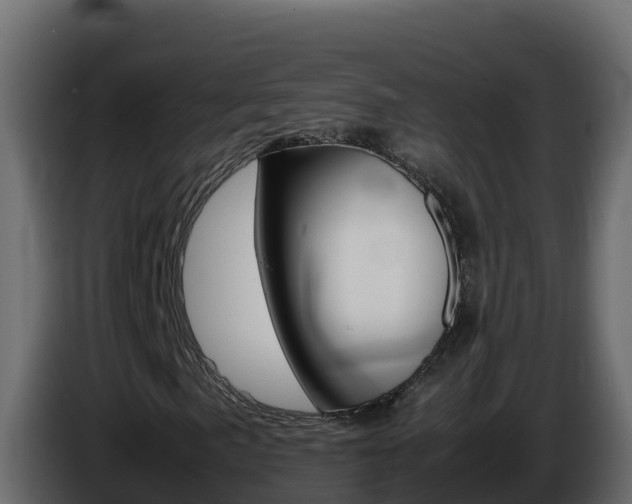 X0000086031057200703230949