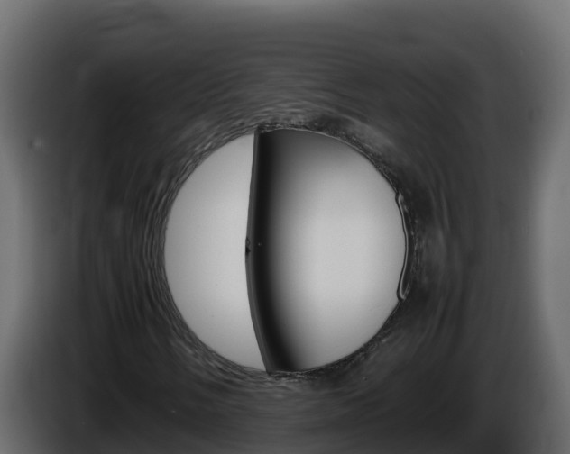 X0000086031058200703230949