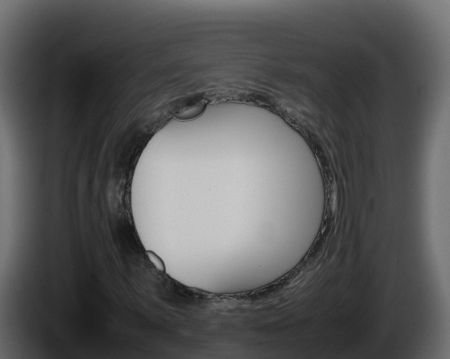 X0000086031059200703230949