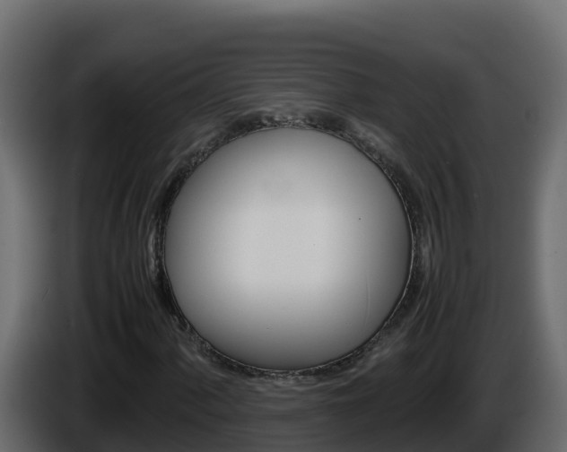 X0000086031060200703230949