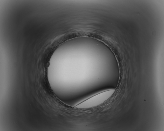 X0000086031061200703230949
